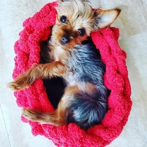 Red Oval ♥ Small Pillow Soft Pet 🛌